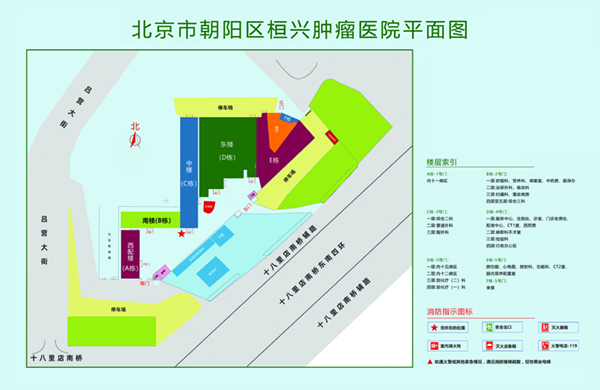 我想要操你大逼逼北京市朝阳区桓兴肿瘤医院平面图